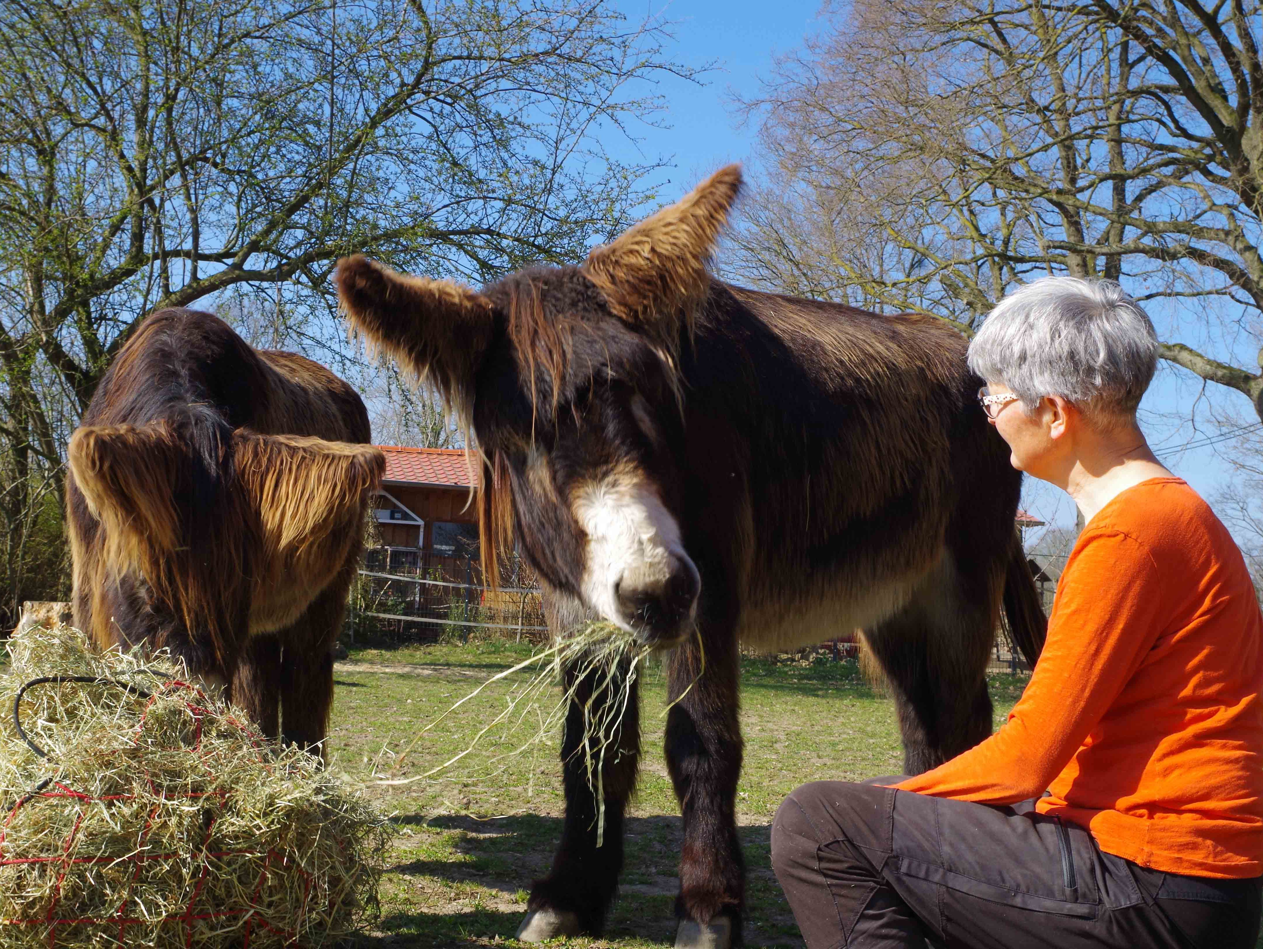 Begegnung Tier-Mensch (Foto: Fee Nortmann)