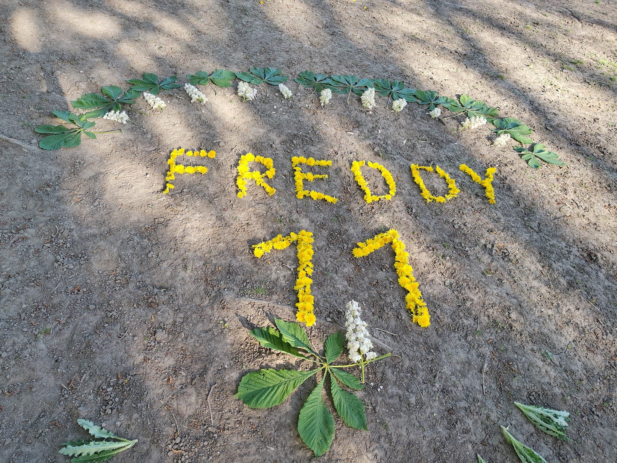 Freddy letzter Geburtstag (Foto: Elisabeth Klingseis) Freddy letzter Geburtstag (Foto: Elisabeth Klingseis)