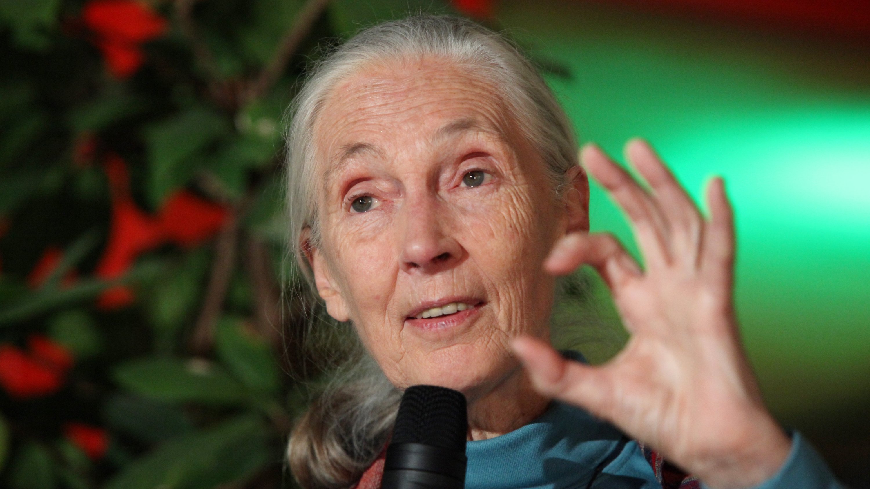 Dr. Jane Goodall (Foto: Heiner Witte)