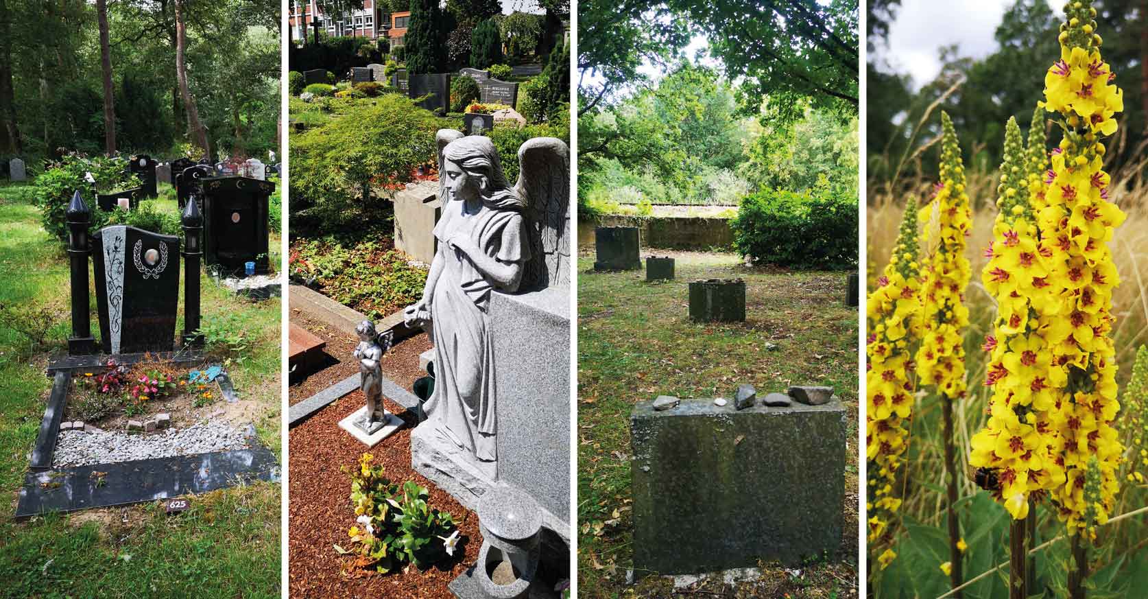 Der Friedhof lebt - Interreligiöse Archegärten in Deutschland (Fotos: Tonja Cappiello)